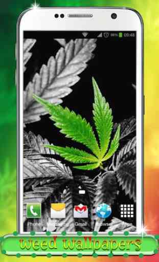 Cannabis Fond d'écran 4
