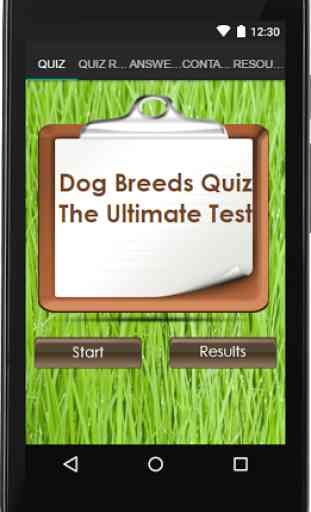 Dog Breeds Quiz 1
