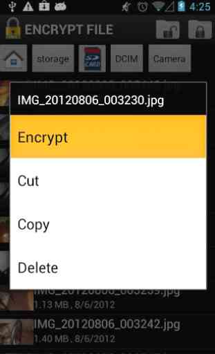 Encrypt File Free 4