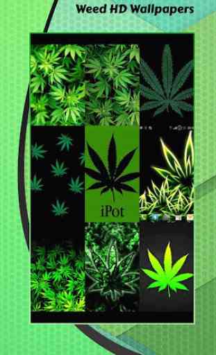 Fonds D'écran Cannabis 2