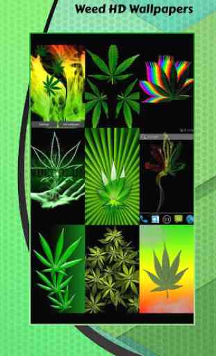 Fonds D'écran Cannabis 3
