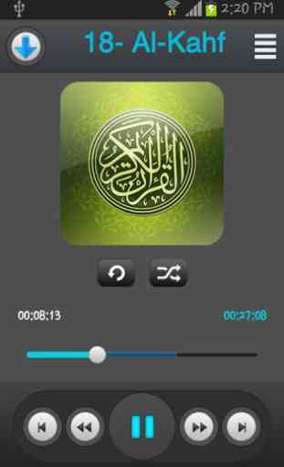 Holy Quran - Mohammad Ayoub 1