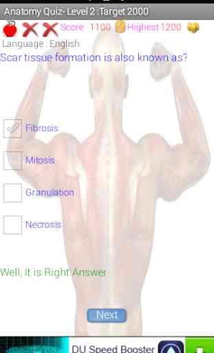 Human Anatomy Quiz 4