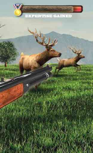 Kill the Deer 4