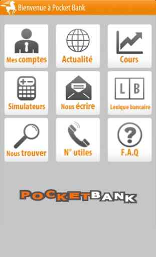 Pocket Bank 1