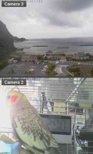 Viewer for D-link ip cameras 1
