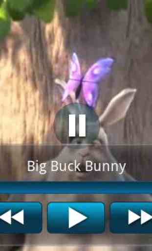 Big Buck Bunny Movie App 2