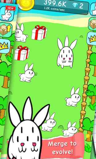 Bunny Rabbit Evolution  2