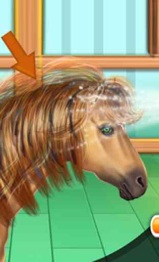 Horse Hair Salon 3