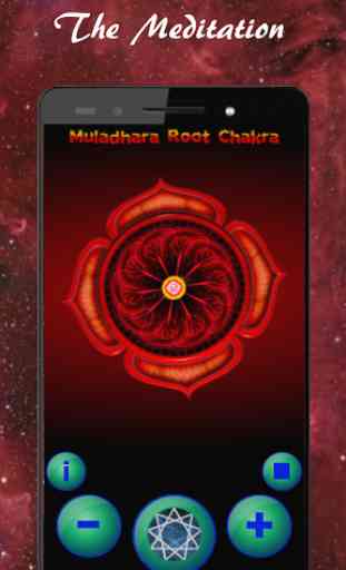 Muladhara chakra racine 2