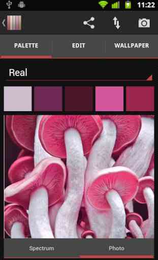 Real Colors, palette generator 2