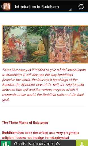 Basic Buddhism 2