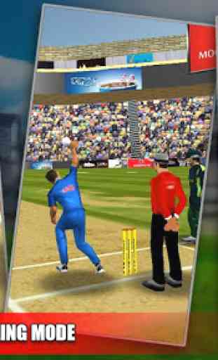 Cricket Jouer 3D 4