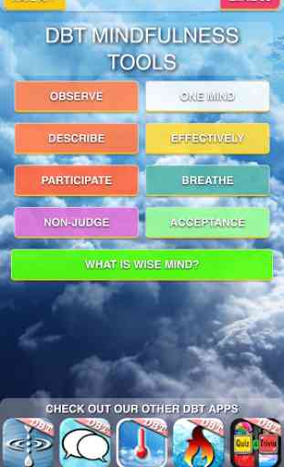 DBT Mindfulness Tools 1