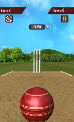 Flick Cricket 3D T20 World Cup 3
