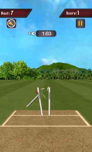 Flick Cricket 3D T20 World Cup 4
