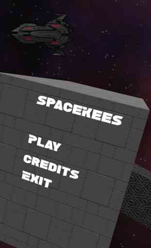 SpaceKees 1