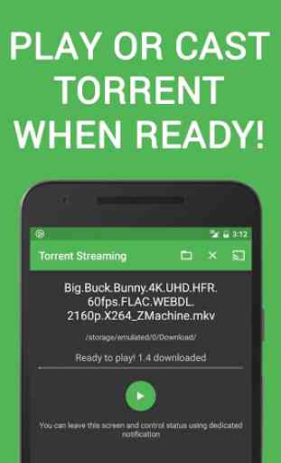 Torrent Video Streaming 4