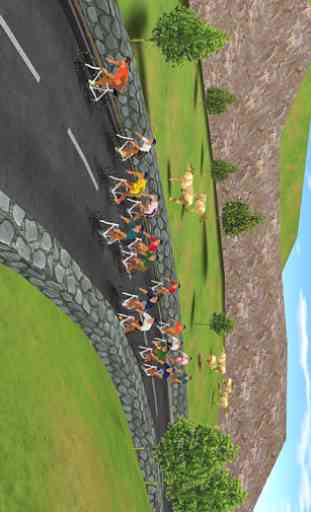 Cycling 2011 3