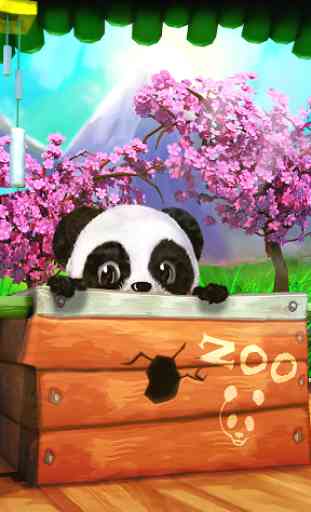 Daily Panda : animal virtuel 1