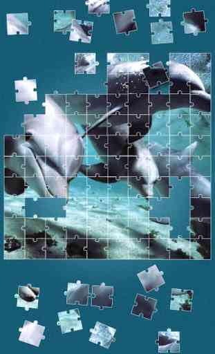 Dauphin Jeux de puzzle 2
