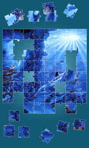 Dauphin Jeux de puzzle 3