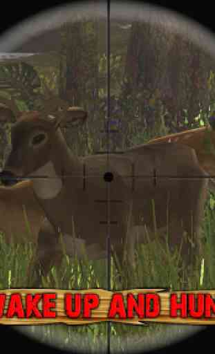 Deer Hunting - 2015 Safari 2