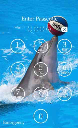 Dolphin Keypad Screen Lock 2