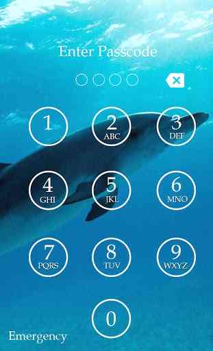 Dolphin Keypad Screen Lock 4