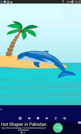 Dolphin Sound-Relax Sleep Calm 3