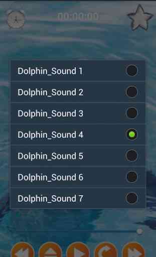 Dolphin Sounds Sleep & Relax 3