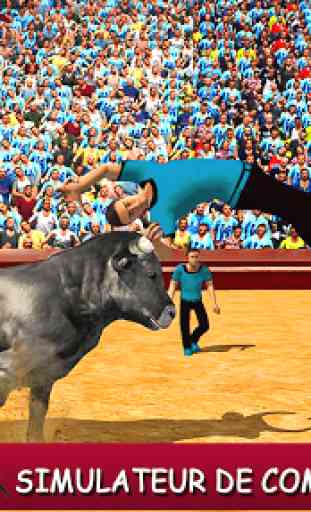 fureur bull fight 3d 4