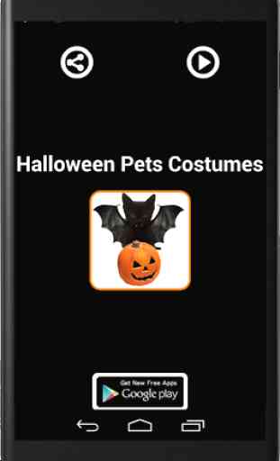 Halloween Costumes PET 2