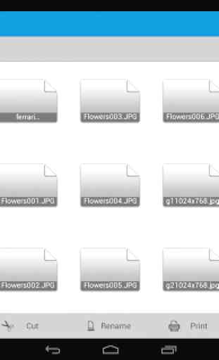 HP File Manager 1