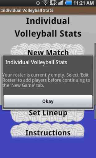 Individual Volleyball Stats 1