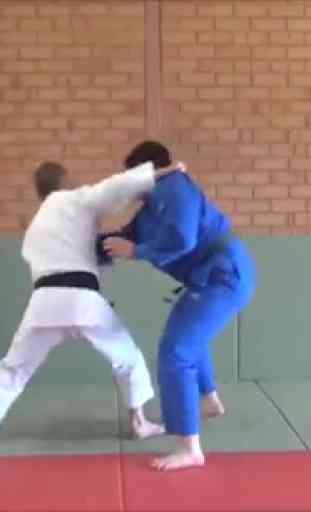 Judo techniques1 1