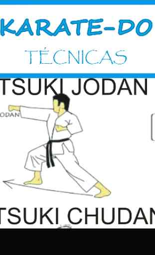 Karate-Do Técnicas 3
