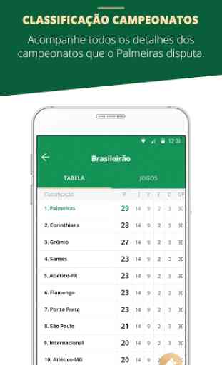 Palmeiras Oficial 4