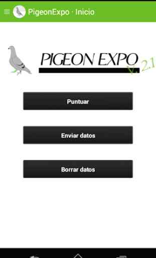 PigeonExpo 1