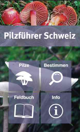 Pilzführer Schweiz 1