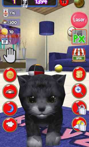 Sans-abri chat, animal virtuel 3