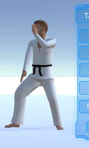 Taekwondo Poomsae 2