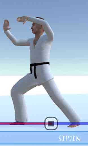 Taekwondo Poomsae 4