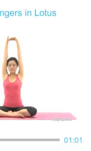 Yoga for Toned Arms (PRO) 2