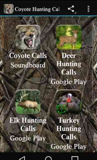 Appels de chasse Coyote 1