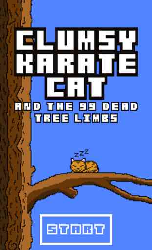Clumsy Karate Cat 1