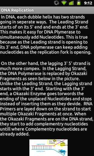 DNA Replication 1