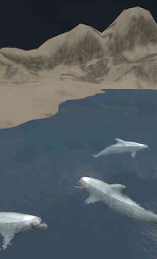 Dolphin Survival Simulator 3