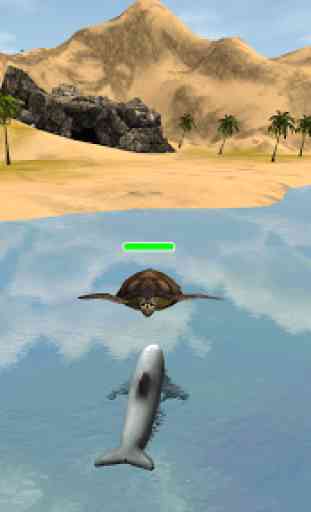 Dolphin Survival Simulator 4