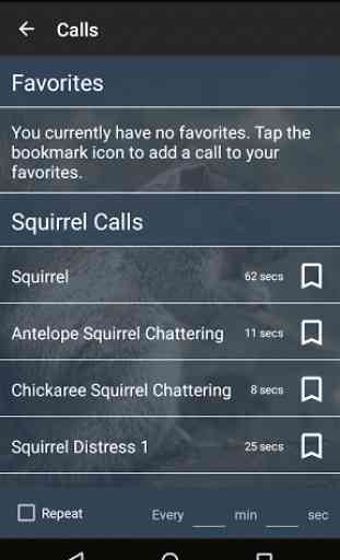 Squirrel Calls 1
